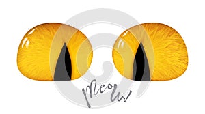 Orange cartoon cat eyes, 3d isolated on white background. Vector illustration