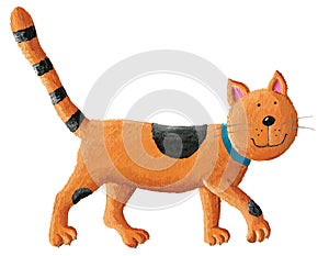 Orange cat