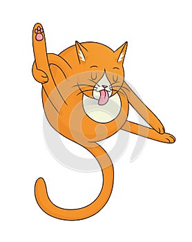 Orange Cat Licking photo