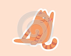 Orange cat licking sticker