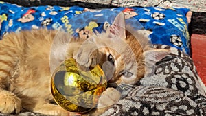 Orange cat lying playing with golden ball