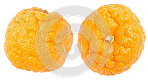 Orange cellulite peel