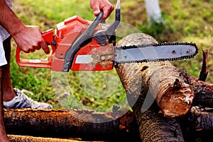 ORANGE CHAINSAW photo