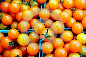 Orange Cherry Tomatoes