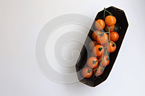 orange cherry tomatoes on a branch on a substrate, minimalism
