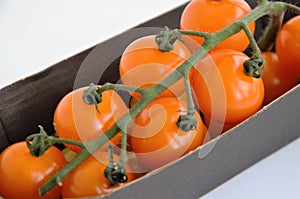 orange cherry tomatoes on a branch on a substrate, minimalism