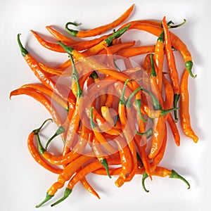 Orange chili peppers