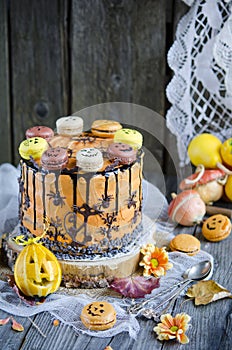 Orange chocolate cake