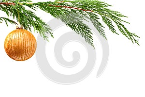 Orange Christmas decoration. on real fir tree branch