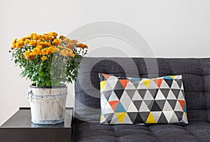 Orange chrysanthemums and bright cushion on a sofa