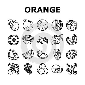 orange citrus fresh slice juice icons set vector