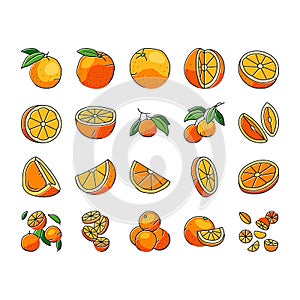 orange citrus fresh slice juice icons set vector