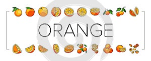 orange citrus fresh slice juice icons set vector