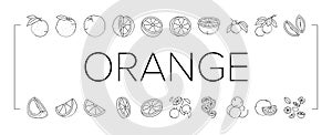 orange citrus fresh slice juice icons set vector