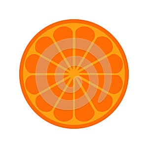 Orange citrus fruit icon bright art vector