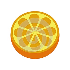 Orange citrus fruit icon bright art vector