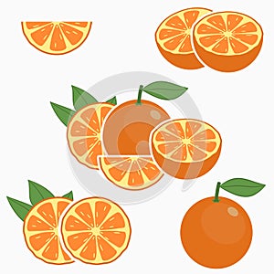 Orange. Citrus fruit with leaf - whole, half, slice. Vector.