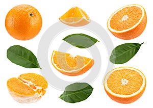 Orange citrus fruit set