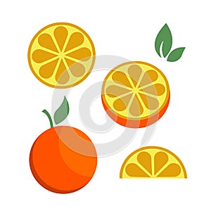 Orange citrus parts set half fruit icon bright art vector