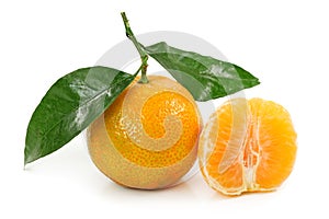 Orange clementine