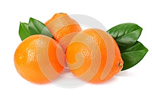 Orange clementine or minneola tangelo with green leaves isolated on white background. Tangerine. Citrus fruit