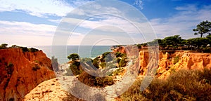 Orange cliffs,pines and ocean(Algarve,Portugal)