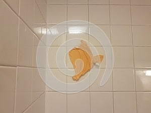 Orange cloth or rag stuck on bathroom tiles