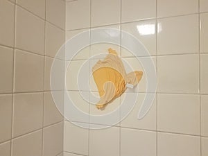 Orange cloth or rag stuck on bathroom tiles