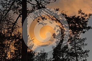 Orange clouds appeared in the sky in the evening