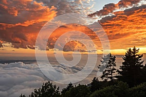 Orange clouds in the sky above cloud inversion