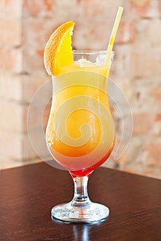 Orange Cocktail with Citrus. Alcohol Drinks.