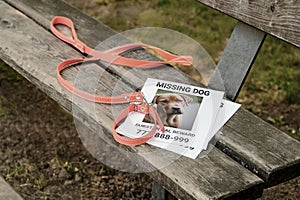 An orange collar with a leash and a flyer about a lost dog lie on a park bench. Lost dog. the concept of love for pets