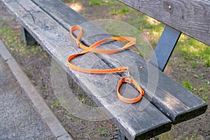 an orange collar for a small dog lies on an empty bench in the park