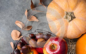 Orange Color Peachy Heirloom Pumpkin Red Glossy Apples Pomegranates Chestnuts Persimmons in Basket. Thanksgiving