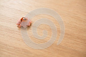 Orange color pencil shaving in a flower shape