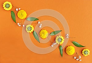 Orange colored background with blossoms and leaves