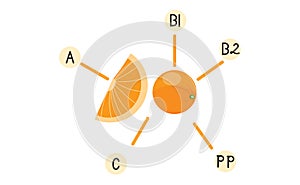 Orange and the complex of vitamins it contains, illustration for journalistic materials