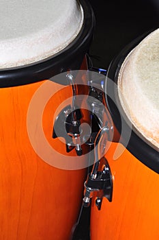 Orange Congas isolated on black background