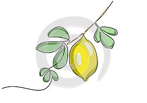 Orange continuous one line drawing, fruit vector illustration