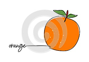 Orange continuous one line drawing, fruit vector illustration