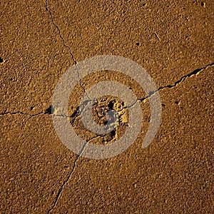 Orange cracked and chipped concrete and texture