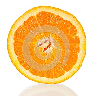 Orange cross-section