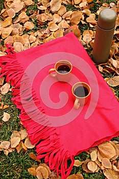 Orange cups with black tea and thermos bottle on red carpet and green grass and fallen leaves.