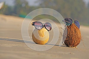 Orange cut melon with seeds inside and a brown coconut with sung