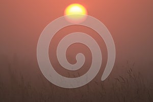 Orange dawn with mist