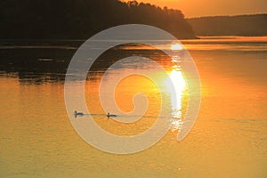 Orange dawn over the great Siberian river Biya