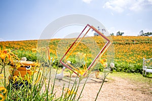 The Orange daylilyTawny daylily flower farm at chih-ke