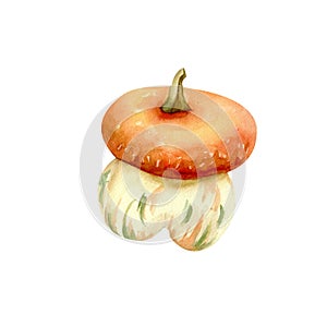 Orange decorative pumpkin. Isolated hand drawn element on white background for autums design photo