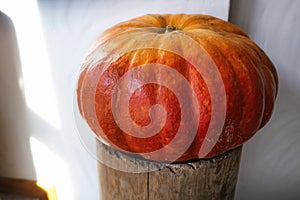 Orange decorative pumpkin on wooden stage in a corner against white wall