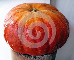 Orange decorative pumpkin on wooden stage in a corner against white wall